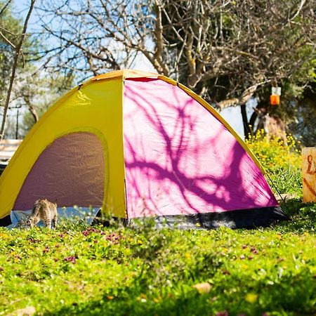 Готель Camping Panorama Ouazzane Екстер'єр фото
