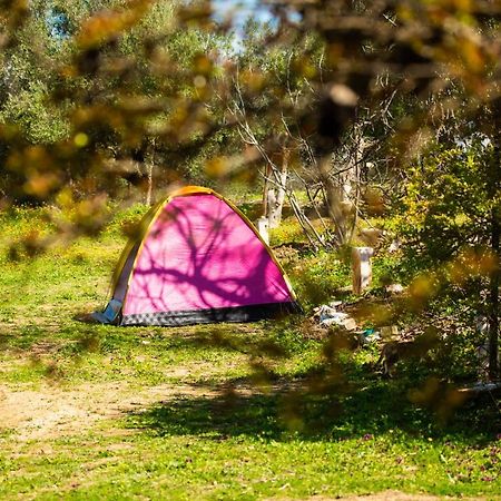 Готель Camping Panorama Ouazzane Екстер'єр фото